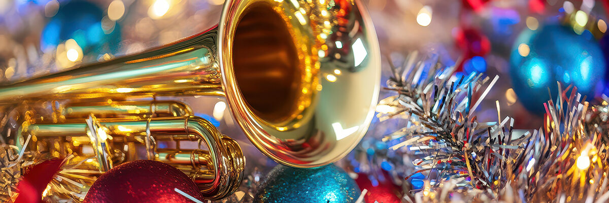 quel spectacle rue choisir pour fetes noel collectivite